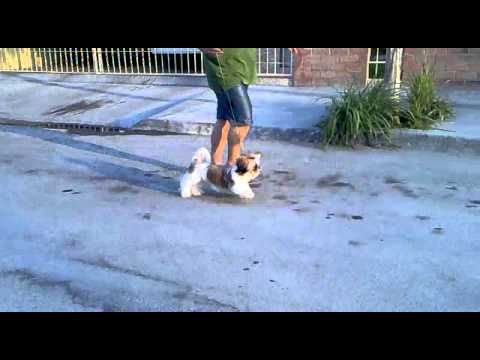 waleska 5 meses 1.mp4