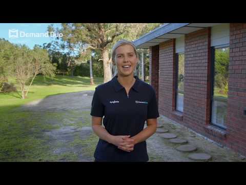 Talking Pest Control: Quick Tips for Ant Control