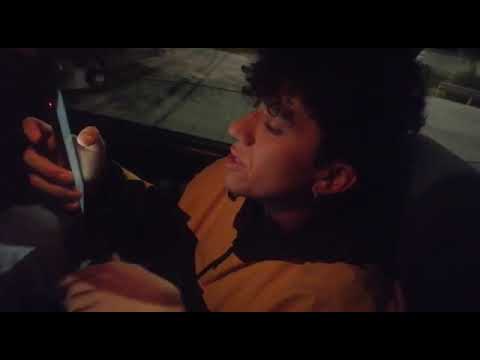 Rodamiento - Virustrial