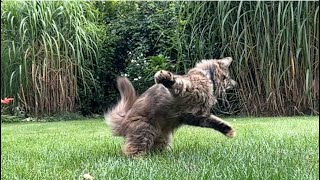 Mia in Slow-Motion