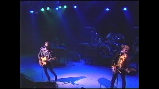 The Rembrandts - New King (Roskilde Festival 1991)