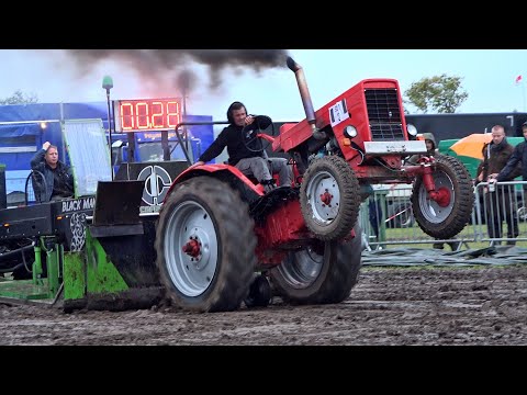#2 Trecker Treck Poel 11:00 mit Kraftziehen Lanz Belarus Fortschritt