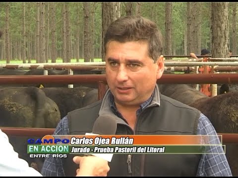 Carlos Ojea Rullan -  Prueba Pastoril del Litoral 2016 – Pedernal – Depto. Concordia