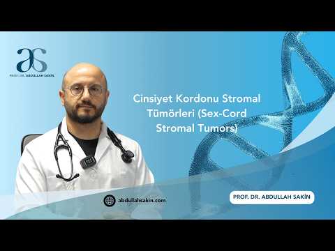 Cinsiyet kordon tümörü (Sex Cord Stromal Tümör) nedir? Belirtileri ve tedavisi