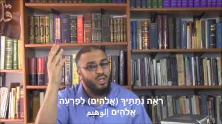 صورة لؤي الشريف يحرف التوراة ليدافع عنها ويشوه علماء الإسلام