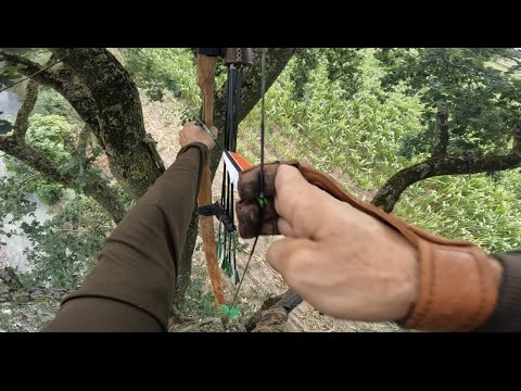 Bodnik x Jackalope Smoked Amber 50# Recurvebow