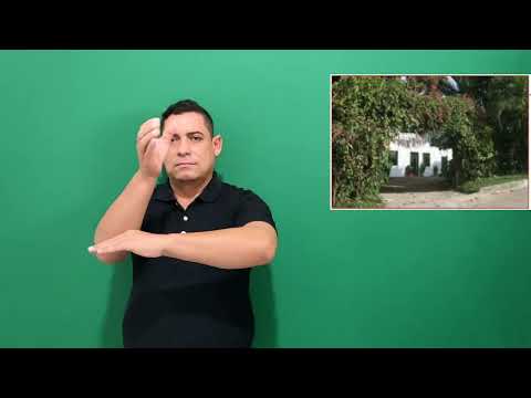 Miniatura do vídeo: Terreiro 138