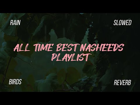 5 Nasheed which is everyone's all time favorite | Nasheeds Playlist | Hashnooor