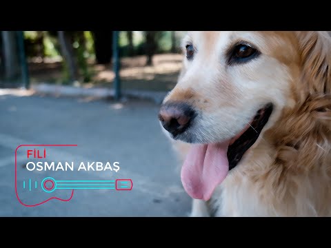 FİLİ - OSMAN AKBAŞ