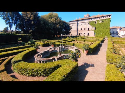 Betafpv video contest 2020