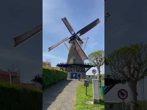 Wow 👀 Very Old #Windmill #wooden mill #Find perfect windmill #zeeland holland