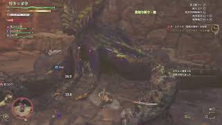 夜活なかはやワイルズ