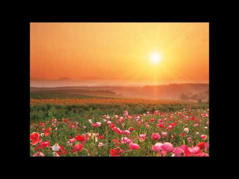 The Angel Project feat. GnAzZ - Interruption (GnAzZ Mix).