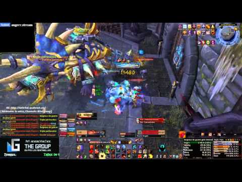 [FR] The Group PvE vs Horridon (EU - Les Sentinelles) by Angerr Stream (15/04/2013)