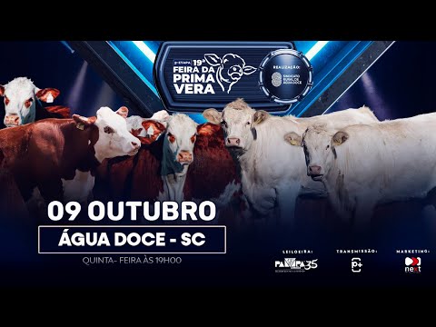 Leilão de Gado Geral, ÁGUA DOCE/SC - 09/10/2025 19:00h