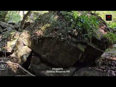 2ª CAMINHADA NA NATUREZA FOI UM SUCESSO EM RESERVA-PR