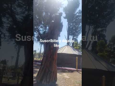 Plaza San Martin Rio Colorado Provincia de Rio Negro