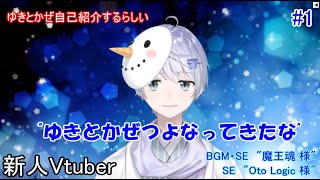 【自己紹介】雪だるまが自己紹介するらしいです。#1【ゆきとかぜつよなってきたな】