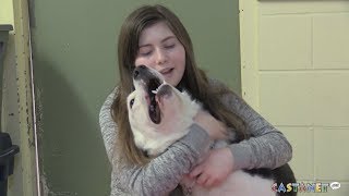 Emma at the SPCA