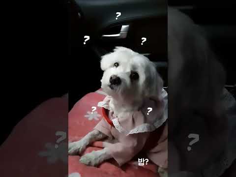 드라이브를 즐기는 비법! 자동차 드라이브의 매력