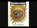 Sublime- 40oz To Freedom