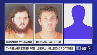 3 arrested in alligator poaching investigation in Sarasota, Manatee and Hardee counties