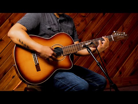 Ortega RCE238SN-FT Performer Series Solid Alaskan Sitka Spruce Top Mahogany Neck Nylon 6-String Classical Acoustic-Electric Guitar w/Deluxe Gig Bag image 12