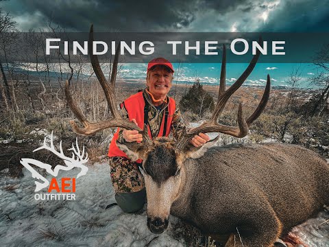 Finding the One - Rifle Hunting Deer During the Rut