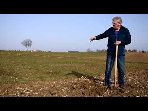 boden:ständig Ehekirchen