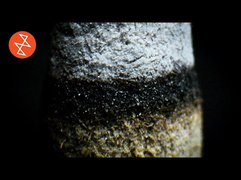 download lagu mp3 mp4 Micro Asmr, download lagu Micro Asmr gratis, unduh video klip Micro Asmr