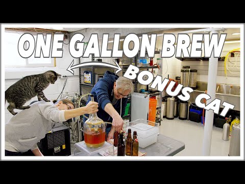 🍺 1 Gallon Of Beer -  Your First HomeBrew Recipe @BrewHouse Glen & Friends