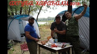 Ссылка