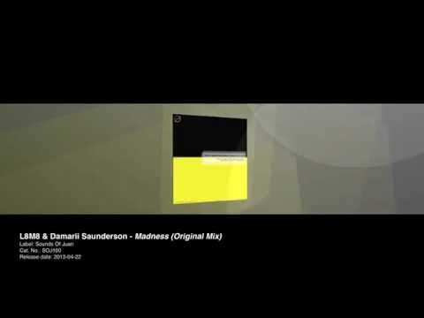 L8M8 & Damarii Saunderson - Madness (Original Mix)