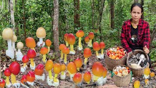 เข้าป่าเกือบเที่ยง!!หมานเกินคาด!!ระโงกเเดงงามๆขาวเหลืองหมาน3ตะกร้า🍄🍄4/6/68