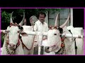 Rajinikanth Bullock Cart Race Scene | Meena | Rowdy Zamindar Movie Scenes
