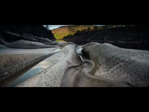 Te Necesito (Gustavo Sequeira)