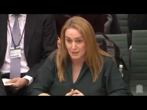 @CommonsCLG - #Leasehld reform inquiry - @TaylorWimpey @PersimmonHomes 19/11/18
