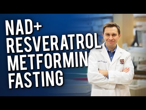 Dr. David Sinclair Describes His Entire Longevity Routine