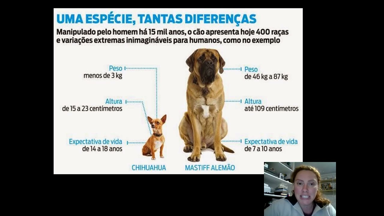 Introdução ao Melhoramento Animal - genética qualitativa e genética quantitativa