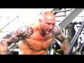WWE SUPERSTARS BODYBUILDING WORKOUT NEW
