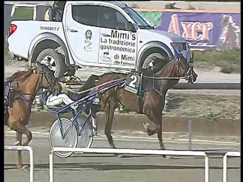 Trotto 26/01/2018 - 1ª corsa