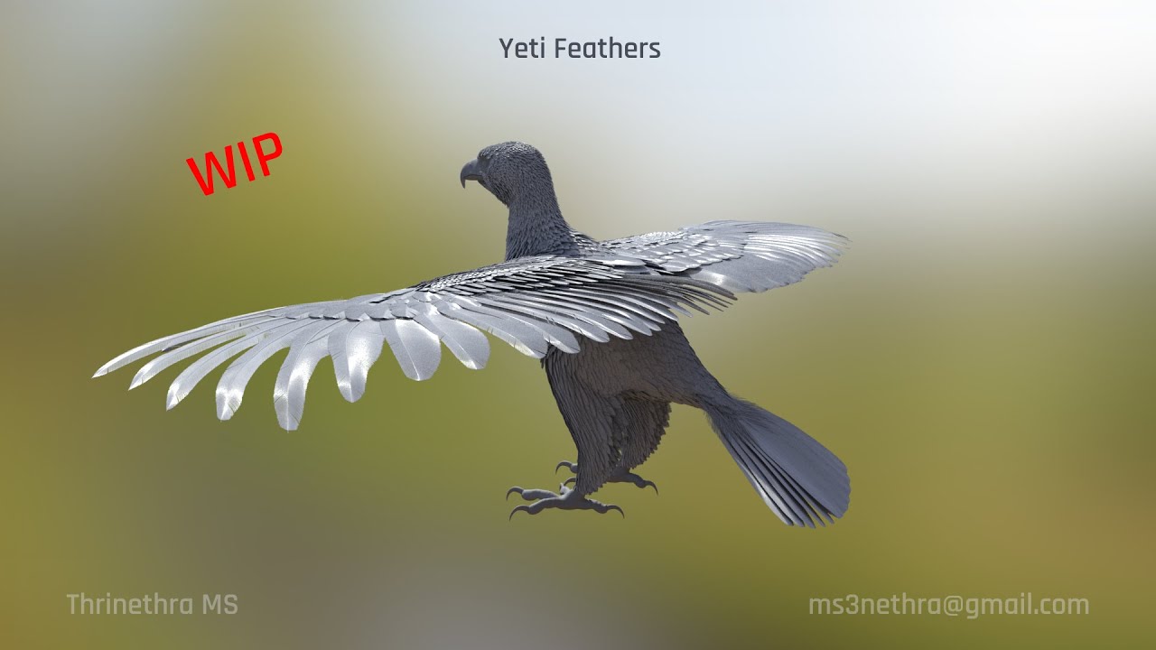 Eagle | Yeti Feathers | Grooming | Maya