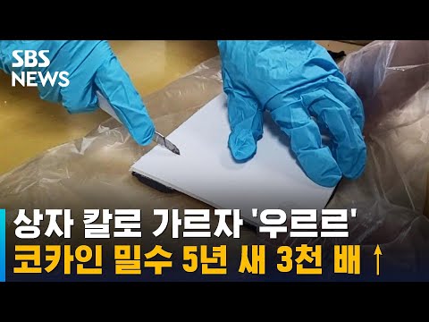 상자 칼로 가르자 우르르…코카인 밀수 5년 사이 3천 배↑ / SBS