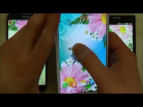 Butterflies Live Wallpaper HD Video