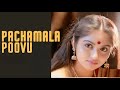 Pachamala Poovu Kizhakku Vasal Ilayaraja High Quality Song