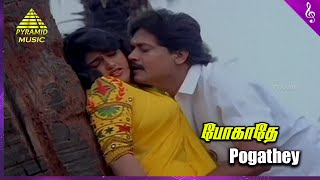 Download lagu Maindhan Movie Songs | Pogathey Ponmanai Video Song | Selva | Nirosha | Deva | Pyramid Music mp3