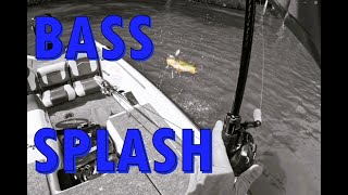 6月の爆釣！アメリカのバス釣り/Great fishing in June