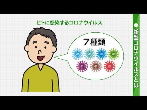コロナウイルスの起源:研究者らが病原体の経路を説明
