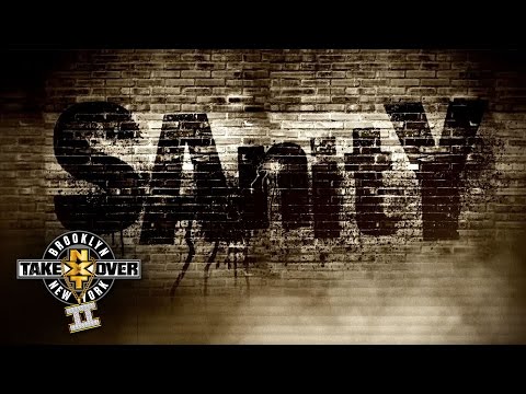 Rumors Are Flying: Finn Balor’s Planned Title Programs, Lesnar – Orton, Sanity Teasers