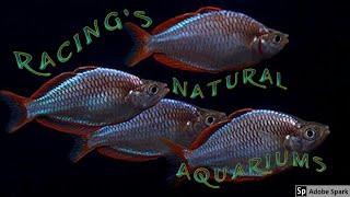 LFS Tour